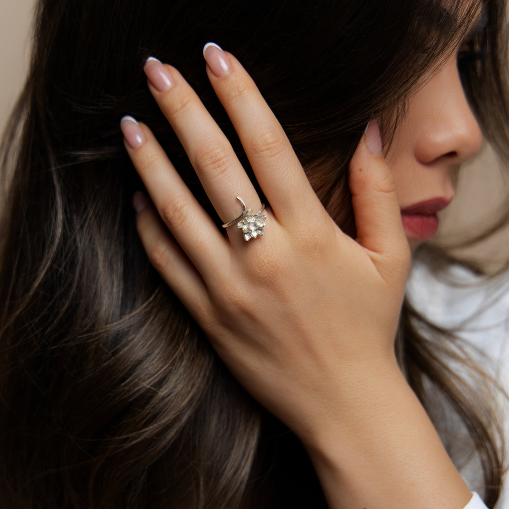 Anillo Purificación