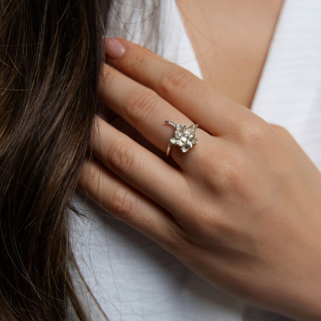 Anillo Purificación