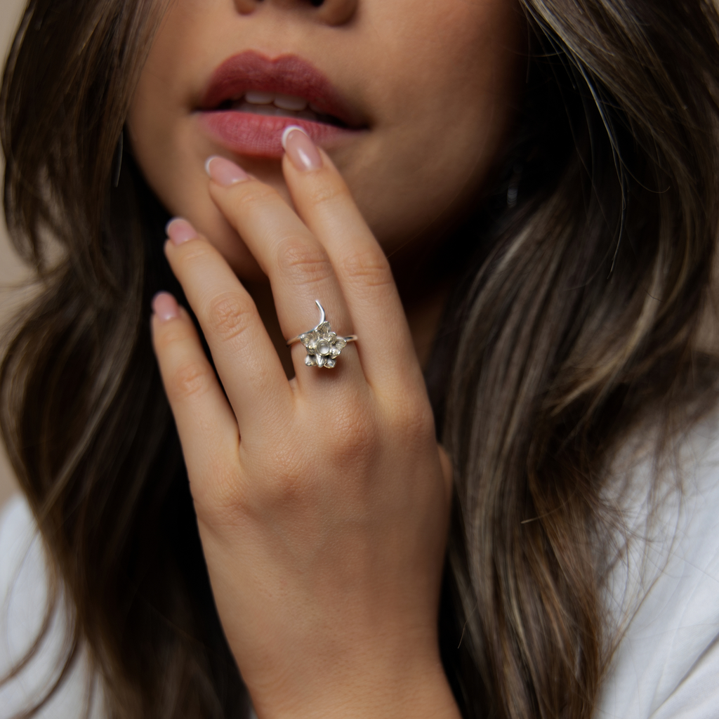 Anillo Purificación