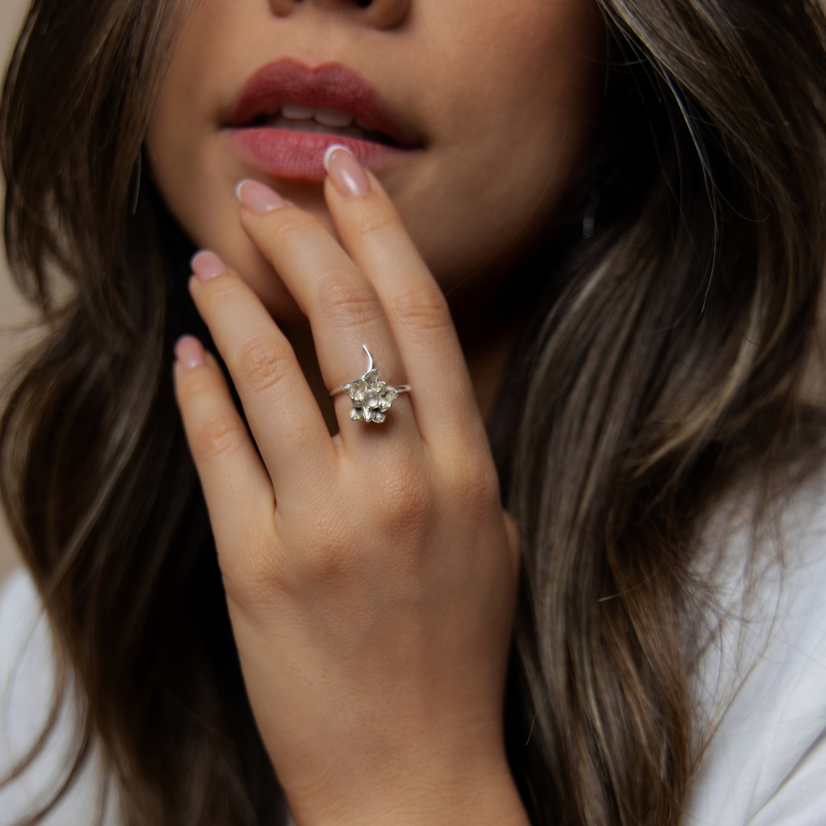 Anillo Purificación