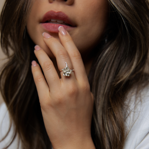Anillo Purificación