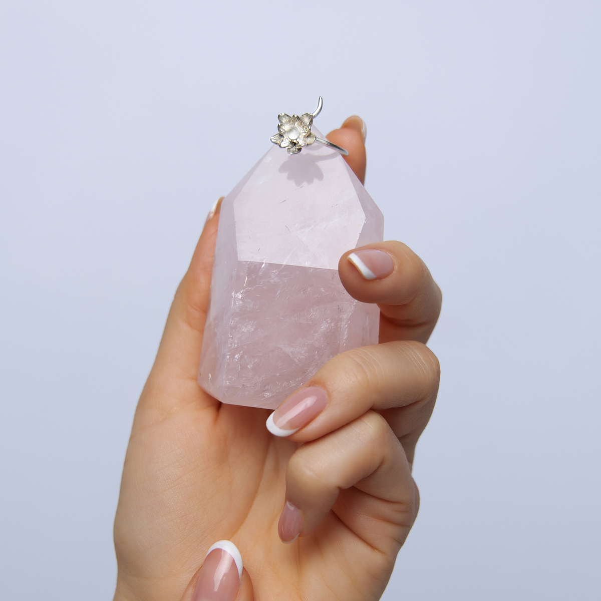 Anillo Purificación